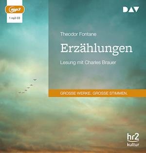 Cover for Theodor Fontane · Erzählungen (CD)