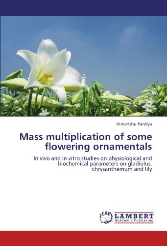 Cover for Himanshu Pandya · Mass Multiplication of Some Flowering Ornamentals: in Vivo and in Vitro Studies on Physiological and Biochemical Parameters on Gladiolus, Chrysanthemum and Lily (Paperback Book) (2011)