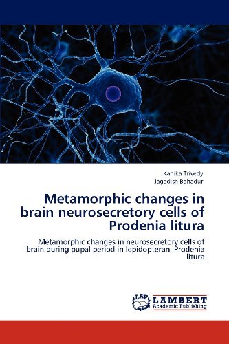 Cover for Jagadish Bahadur · Metamorphic Changes in Brain Neurosecretory Cells of Prodenia Litura: Metamorphic Changes in  Neurosecretory Cells of  Brain During Pupal Period in Lepidopteran, Prodenia Litura (Paperback Bog) (2012)