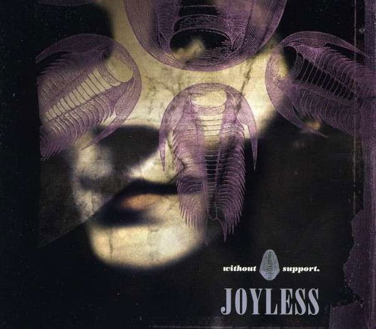 Cover for Joyless · Without Support (LP) (2022)