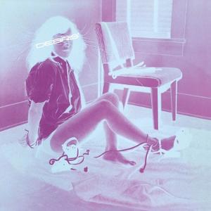 Cover for Debris (LP) (2025)
