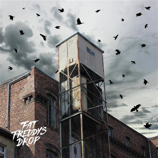 Blackbird Returns - Fat Freddy's Drop - Musik - THE DROP - 5056032375376 - 29. September 2023