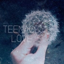 Cover for Teenage Love · Gold (CD) (2015)