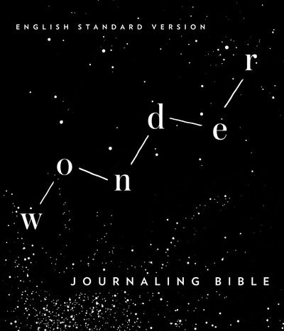 Cover for Wonder · ESV Wonder Journalling Bible (Inbunden Bok) [Canvas Flexi-board and silver foiling edition] (2019)