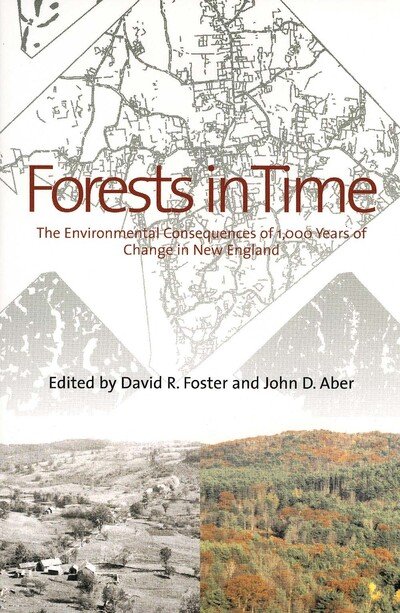 Cover for David R Foster · Forests in Time: The Environmental Consequences of 1,000 Years of Change in New England (Pocketbok) (2006)