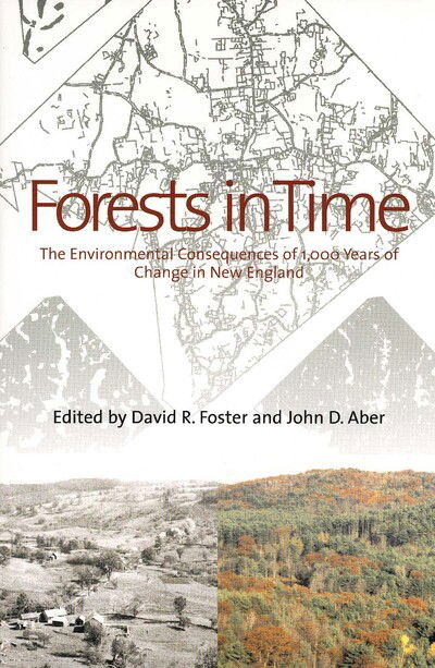 Forests in Time: The Environmental Consequences of 1,000 Years of Change in New England - David R Foster - Books - Yale University Press - 9780300115376 - April 1, 2006