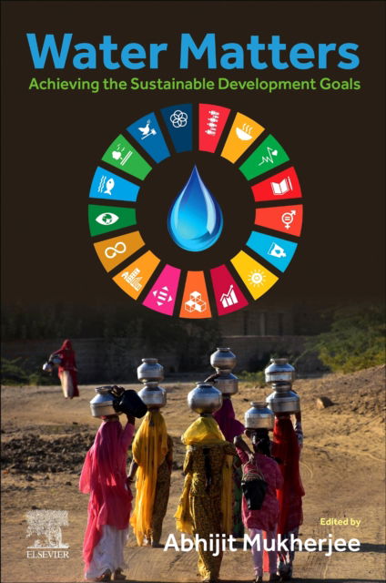 Cover for Water Matters: Achieving the Sustainable Development Goals (Paperback Book) (2024)