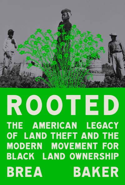 Brea Baker · Rooted (Buch) (2024)