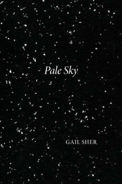 Cover for Gail Sher · Pale Sky (Paperback Book) (2015)