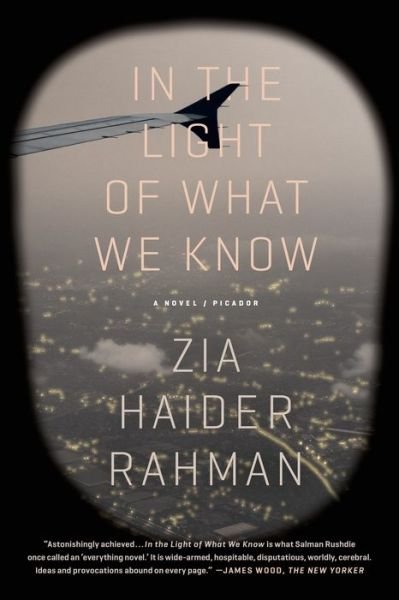 Cover for Zia Haider Rahman · In the Light of What We Know (Taschenbuch) (2015)