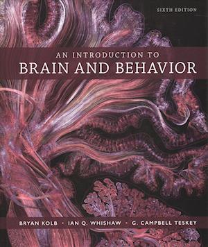 Cover for Bryan Kolb · An Introduction to Brain and Behavior (Hardcover Book) (2019)