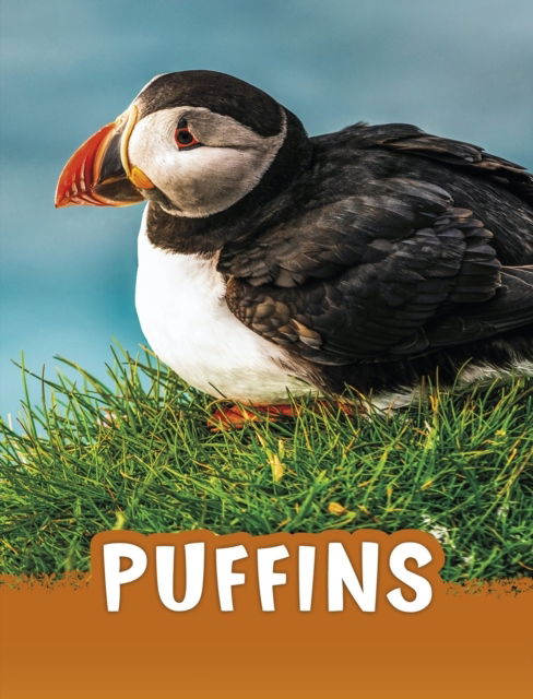 Cover for Jaclyn Jaycox · Puffins (N/A)