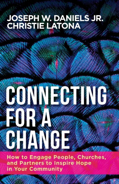 Cover for Jr. Daniels Joseph W. · Connecting for a Change (Paperback Book) (2019)