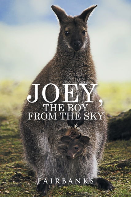 Cover for Fairbanks · Joey, the Boy from the Sky (Paperback Book) (2016)
