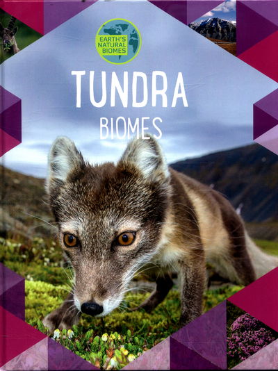 Earth's Natural Biomes: Tundra - Earth's Natural Biomes - Louise Spilsbury - Książki - Hachette Children's Group - 9781526301376 - 9 lutego 2017