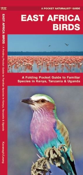 Cover for James Kavanagh · East Africa Birds: a Folding Pocket Guide to Familiar Species in Kenya, Tanzania &amp; Uganda (Paperback Book) (2017)