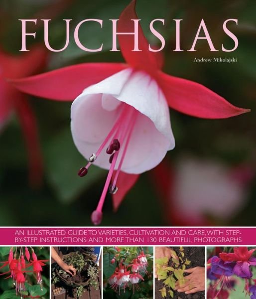 Cover for Andrew Mikolajski · Fuchsias: an Illustrated Guide to Varieties, Cultivation and Care, with Step-by-step Instructions and More Than 130 Beautiful Photographs (Taschenbuch) (2013)