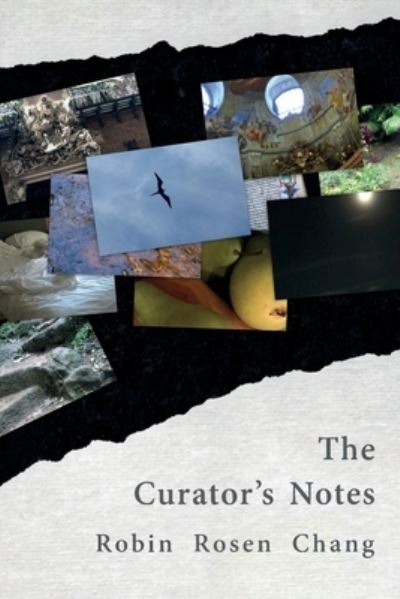 Cover for Robin Rosen Chang · The Curator's Notes (Paperback Book) (2021)