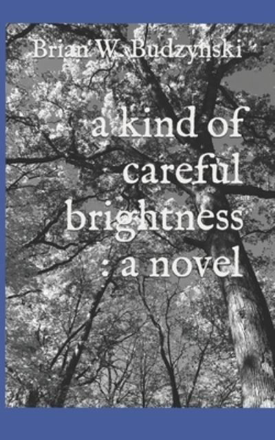 Cover for Budzynski Brian W. Budzynski · A Kind of Careful Brightness (Paperback Book) (2018)