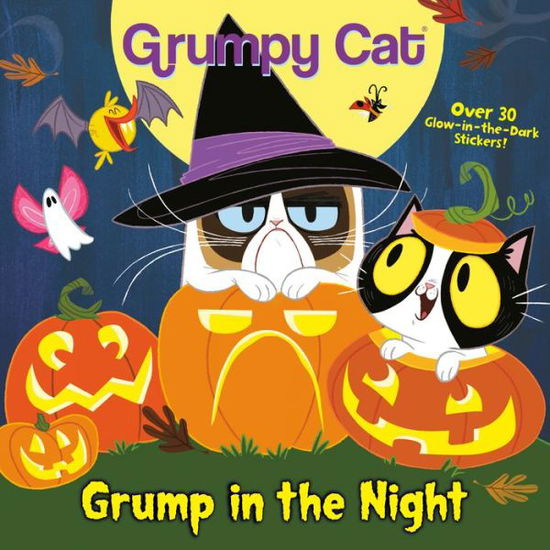 Cover for Celeste Sisler · Grump in the Night (Paperback Book) (2020)