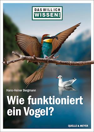 Das will ich wissen! Wie funktioniert ein Vogel? - Hans-Heiner Bergmann - Books - Quelle & Meyer - 9783494019376 - August 30, 2022