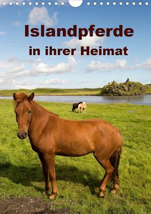 Cover for Rusch · Islandpferde in ihrer Heimat (Wan (Book)