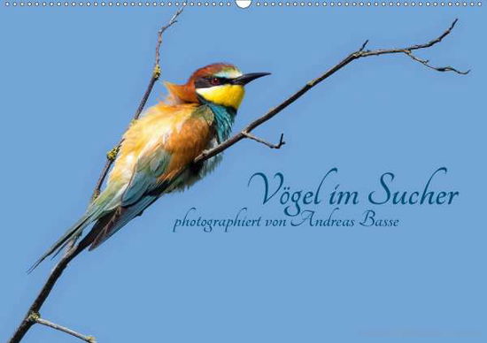 Cover for Basse · Vögel im Sucher (Wandkalender 202 (Book)