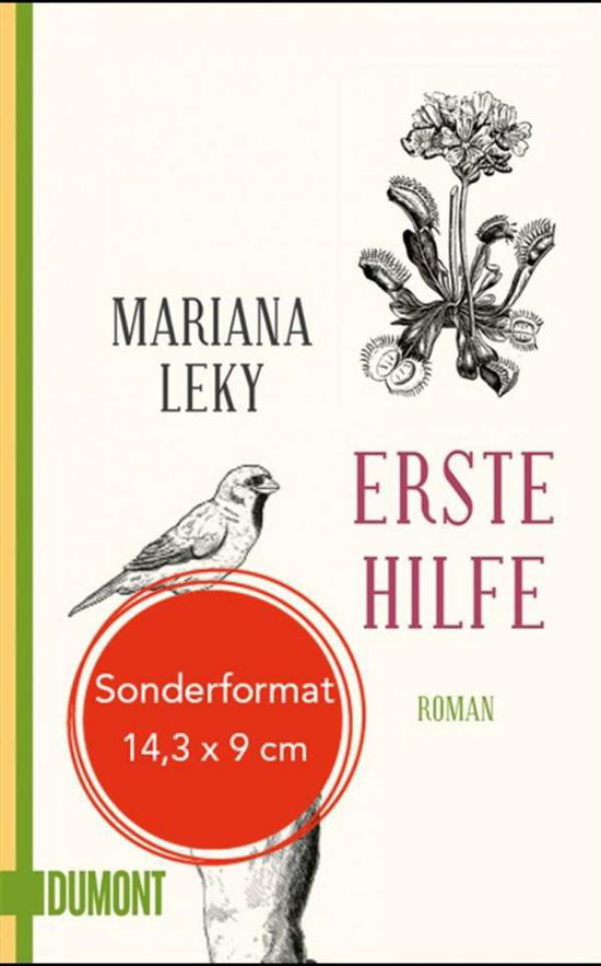 Cover for Leky · Erste Hilfe (Book)