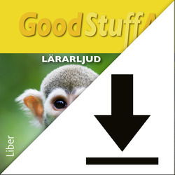 Good Stuff Gold åk 4-6: Good Stuff GOLD A Lärarljud (nedladdningsbar) 12 mån - Kjell Johansson - Audio Book - Liber - 9789147120376 - August 12, 2015