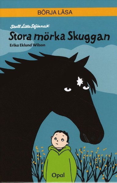 Cover for Erika Eklund Wilson · Stall lilla stjärna: Stora mörka Skuggan (Bound Book) (2012)
