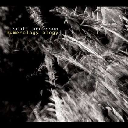 Cover for Scott Anderson · Numerology Ology (CD) (2012)