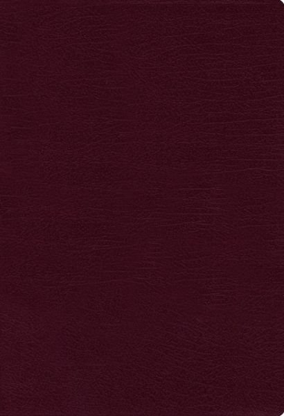 Cover for Zondervan · NASB, Thinline Bible, Large Print, Bonded Leather, Burgundy, Red Letter, 1995 Text, Thumb Indexed, Comfort Print (Læderbog) [Large type / large print edition] (2020)
