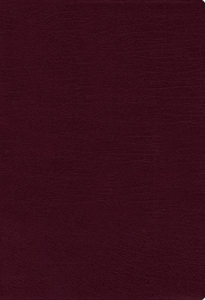 Cover for Zondervan · NASB, Thinline Bible, Large Print, Bonded Leather, Burgundy, Red Letter, 1995 Text, Thumb Indexed, Comfort Print (Skinnbok) [Large type / large print edition] (2020)