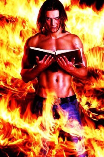 Cover for W. Shane Wilson · Ryan of the Wildfire (Paperback Book) (2009)