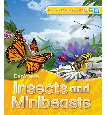 Cover for Jinny Johnson · Explorers: Insects and Minibeasts (N/A) [Main Market Ed. edition] (2014)