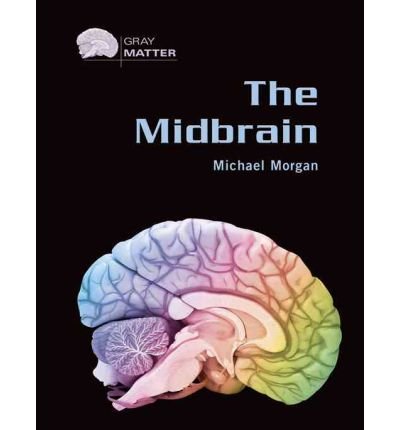 The Midbrain - Gray Matter - Michael Morgan - Books - Chelsea House Publishers - 9780791086377 - September 30, 2005