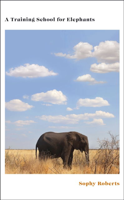 Cover for Sophy Roberts · A Training School for Elephants (Innbunden bok) (2025)