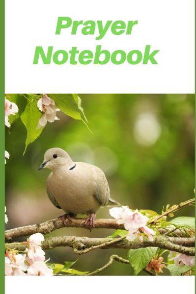 Prayer Notebook - Palmer - Książki - Independently Published - 9781086808377 - 11 sierpnia 2019