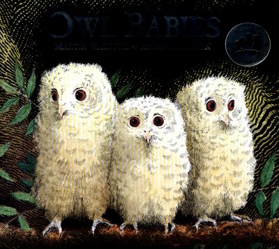 Owl Babies - Martin Waddell - Bøker - Walker Books Ltd - 9781406374377 - 3. august 2017