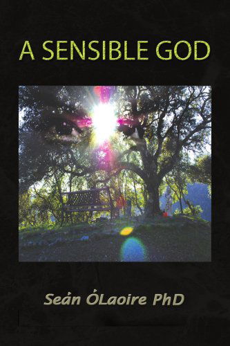 Cover for Sean O'laoire · A Sensible God (Paperback Book) (2008)