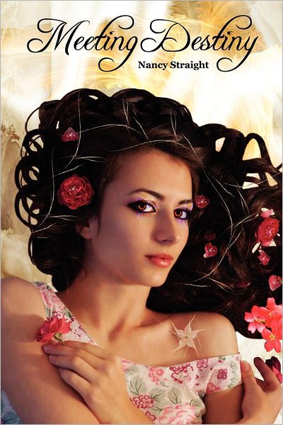 Cover for Nancy Straight · Meeting Destiny: Destiny Series, Book 1 (Paperback Book) (2011)