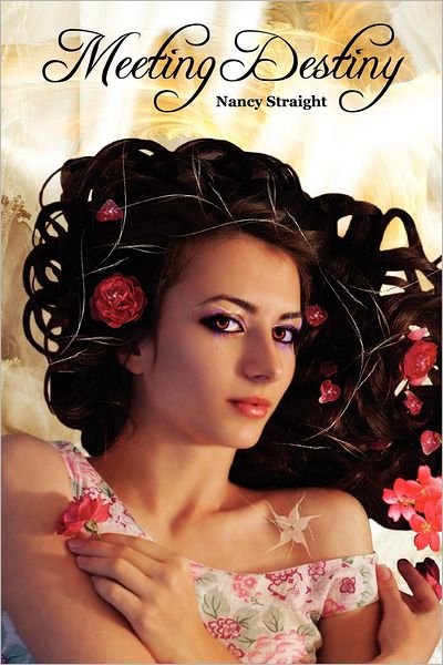 Cover for Nancy Straight · Meeting Destiny: Destiny Series, Book 1 (Pocketbok) (2011)