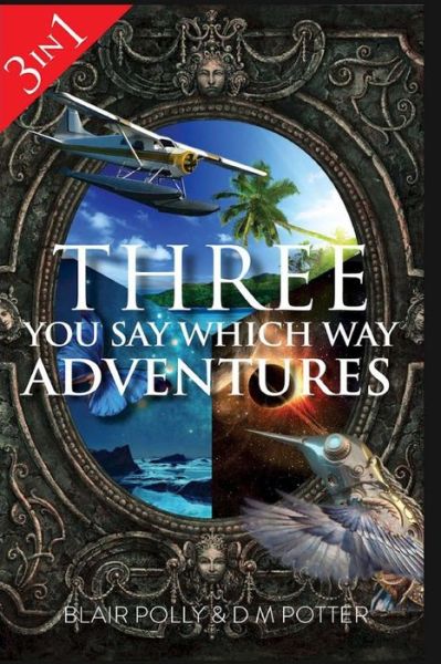 Cover for DM Potter · Three You Say Which Way Adventures (Paperback Book) (2015)