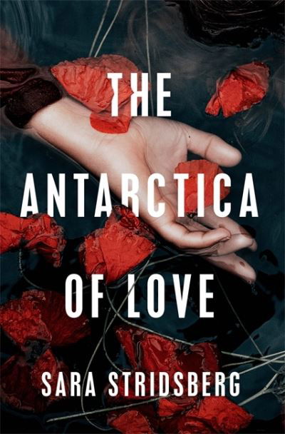Cover for Sara Stridsberg · The Antarctica of Love (Hardcover bog) (2021)