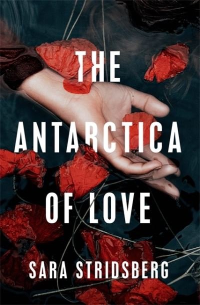 Cover for Sara Stridsberg · The Antarctica of Love (Gebundenes Buch) (2021)