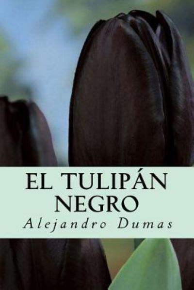 Cover for Alejandro Dumas · El Tulipan Negro (Paperback Book) (2016)