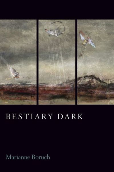 Cover for Marianne Boruch · Bestiary Dark (Paperback Book) (2021)