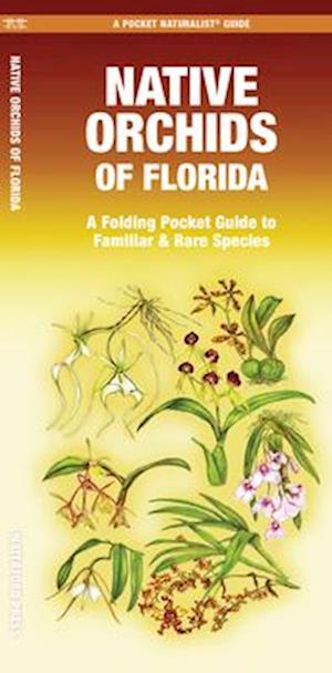 Cover for Mary Ruden Mary Ruden · Native Orchids of Florida (Paperback Book) (2025)