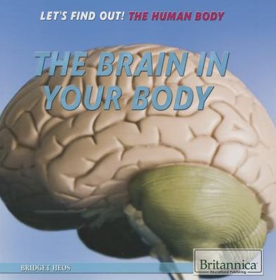 Cover for Bridget Heos · The Brain in Your Body (Paperback Book) (2014)