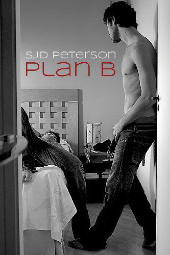 Cover for SJD Peterson · Plan B (Paperback Bog) [New edition] (2013)